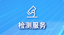 检测服务